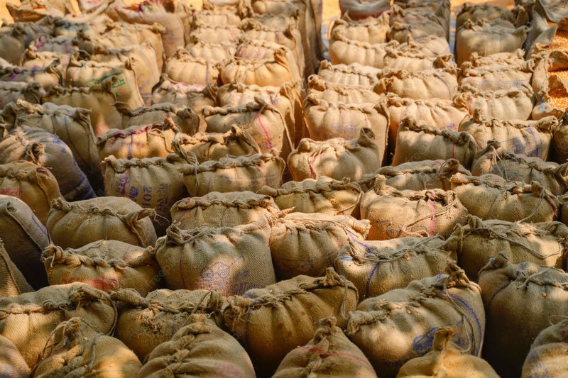 Agricultural supply chain and sourcing Ghana